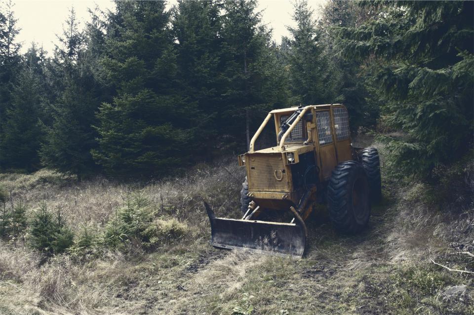 Machinerie forestière effectuant du déboisement de terrain en Mauricie